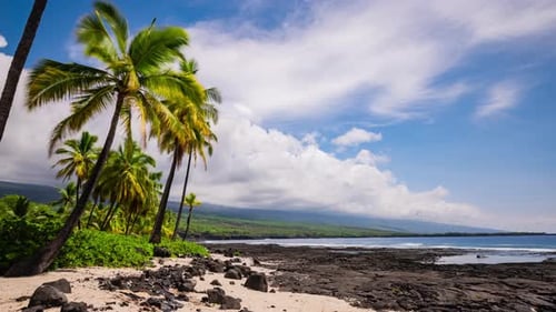 Timelapse - Beautiful coastal view of the beach with Palm tree and cloudscape