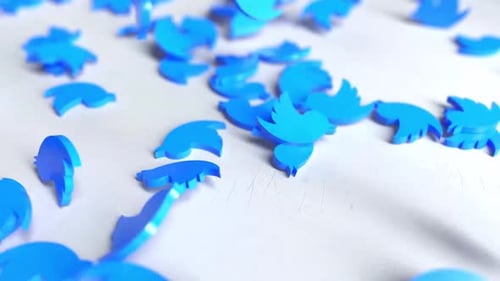 Animated 3D Blue Bird Logo Elements Scattering
