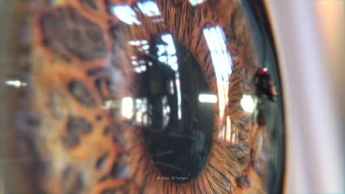 A house fly lands on eye. 4K animation. Scratchy and disturbing.