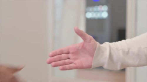 Business Handshake in Bright Office Setting