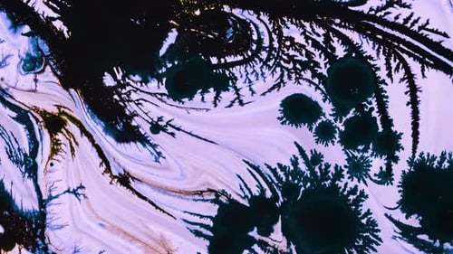 Ink Drops And Surreal Shapes Spread On Background Surface 63