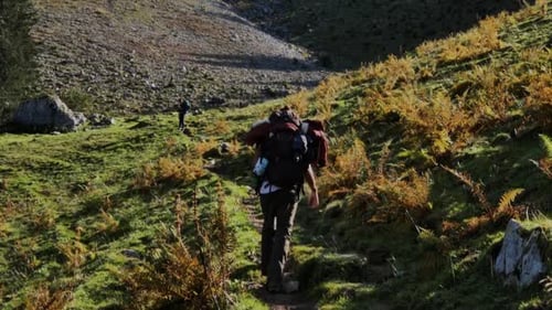 Randonneurs en randonnée dans la montagne