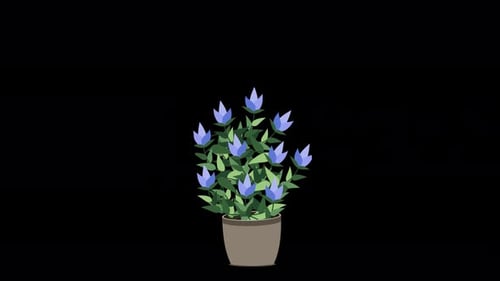 Home plant animation. Potted plant isolated. Decorative green houseplant in pot. Plant in pot