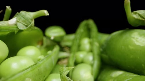 Green Pea Pods scattered on the table, Peas inside, macro filming. Dolly slider.