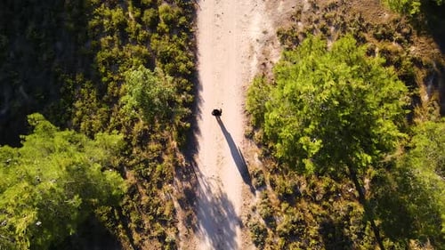 Top shot of a man walking on a path in the forest in 4K_2
