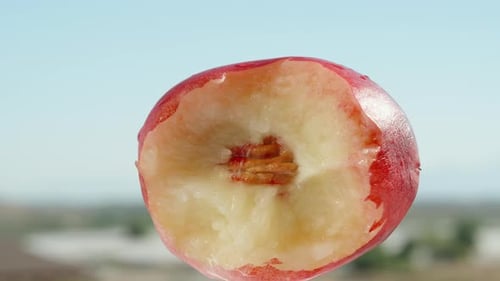 A bitten nectarine in close-up, rotating against a blue sky background.