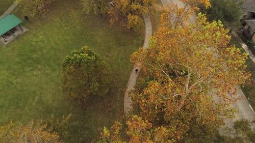 overhead shot of a woman walking in the park