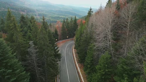 Scenic Mountain Drive Adventure on Winding Forest Roads Through the Wilderness