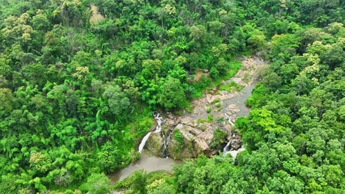 Lush green forest embraces stunning waterfall.
