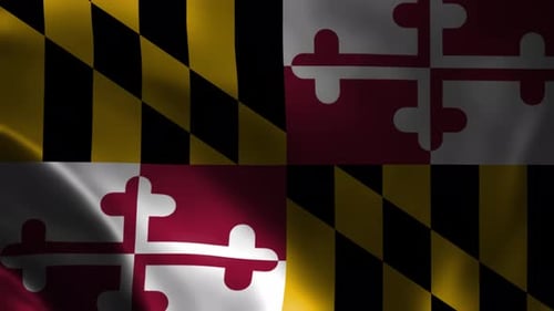 Realistic Four-Quadrant Flag Waving Background Animation