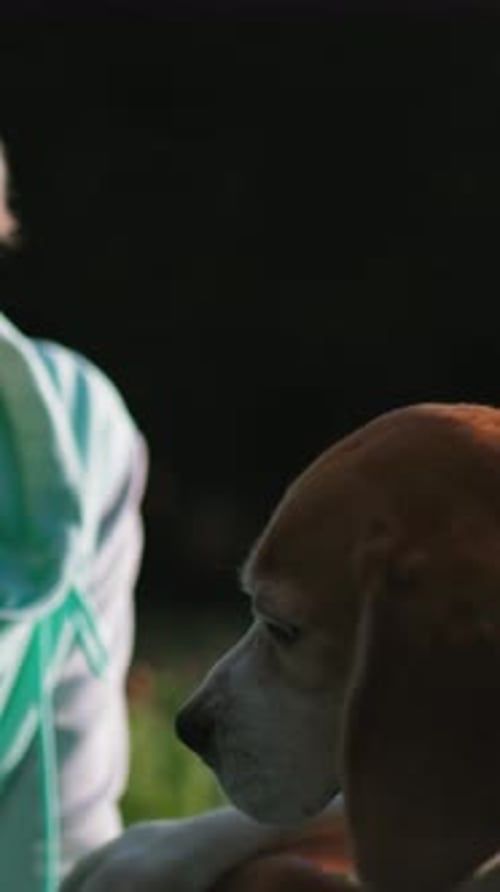 Nahaufnahme Beagle ruht neben dem Besitzer, weiches Abendlicht, grasbewachsener Park, entspanntes Hundeprofil, menschliche Hand