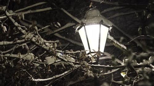 Snowflakes illuminated by bright light in park.