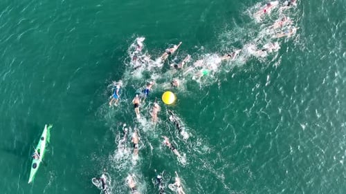 aerial view of swimmers racing in the sea