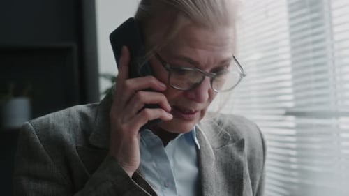 Business Woman Talking on the Phone in Office