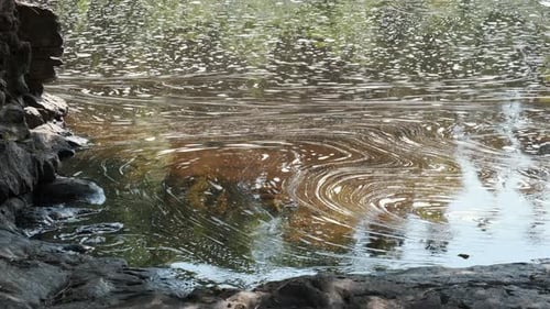 Schaumwirbel im Flusswasser