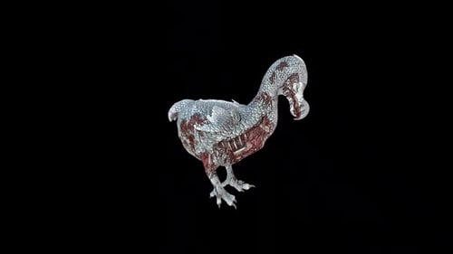 Zombie Dodo Eat
