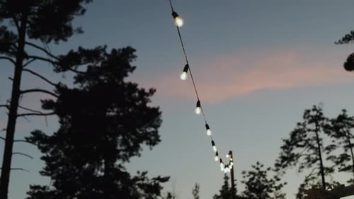 A String of Lights Hangs From a Wire Between Two Trees in the Sky Romantic Atmosphere in the Wedding