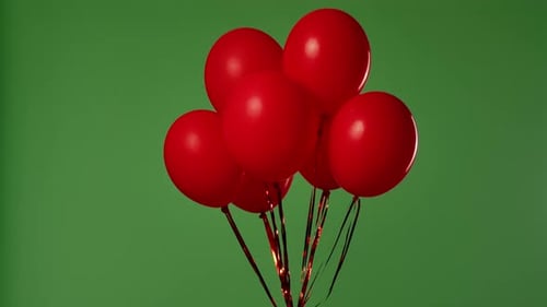 Many Red Balloons Hang in the Air Against a Green Screen with a Chroma Key Effect