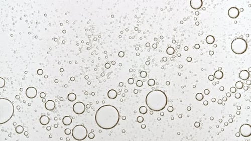 Abstract Liquid with Bubbles Moving in Solution