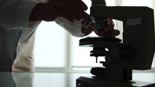 Medical Professional Adjusting Microscope in Sunny Lab