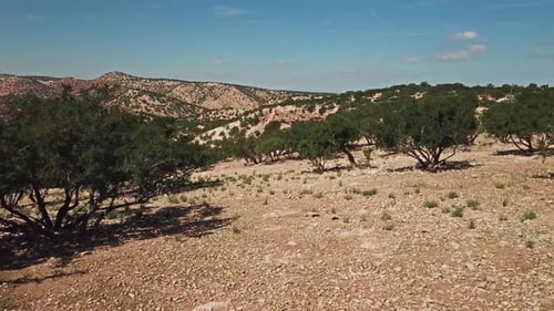 Montañas con árboles de argán en el hábitat natural de Marruecos
