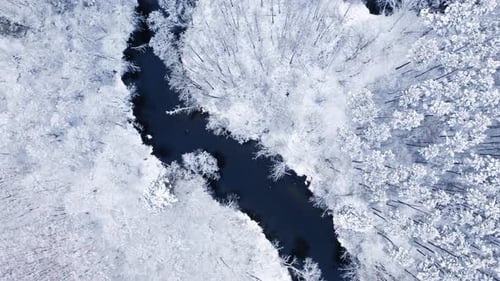Flying above frozen forest and winding river in winter