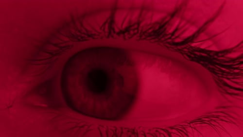 Human Eye Man or Woman Eye Macro Detailed Closeup Macro a Human Blue Eye Showcases Its Intricate