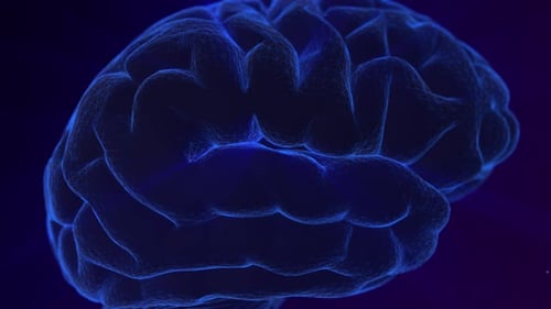 Futuristic Blue Glowing Brain Digital Wireframe Animation