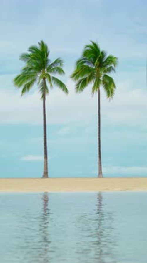 Tranquil Tropical Beach with Palm Trees on Big Island Hawaii in a Captivating Vertical Video