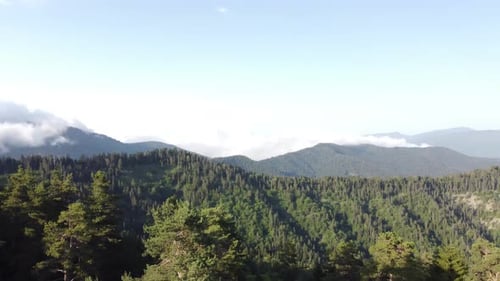 Panning left to the right aerial view of a dense forest with clouds covering the tops of mountains.