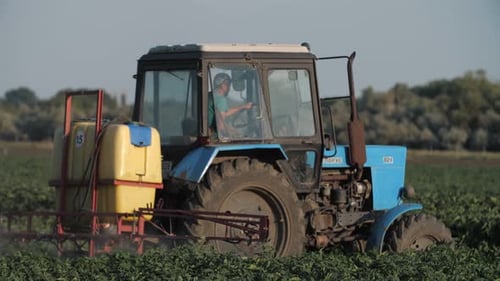Pesticide Sprayer Tractor Working on a Large Green Field Tractor Spraying Wheat Field