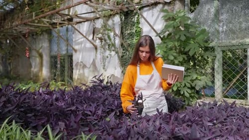 Growing Garden and House Plants in Greenhouse Portrait of Female Gardener with Potted Plant in Hand