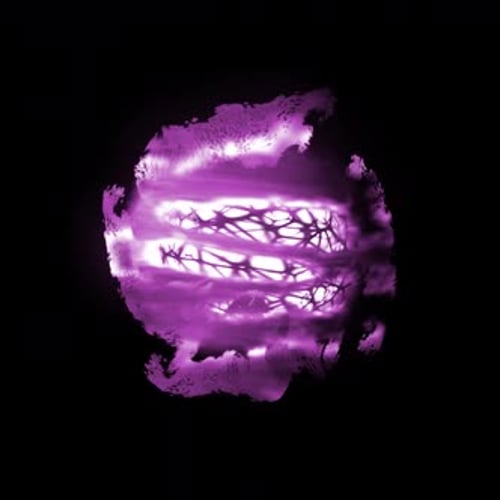 Gruselige Kreatur VFX