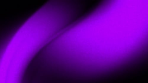Abstract Fluid Waves Purple Animated Background Loop