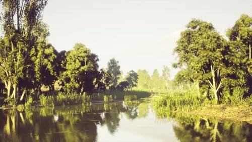 Realistic River Flowing Through Lush Forest Landscape