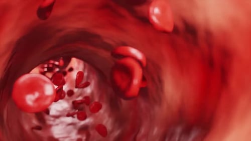 Movement of red bloodstream cells within human blood vessels