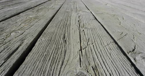 Macro shot of a bark of a mountain tree trunk. Concept of: deforestation, green, ecologiam love of