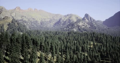Lush Green Mountains and Evergreen Trees Under a Clear Blue Sky