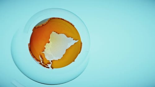 World Map Animation Hd V.1