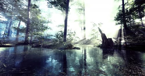 Tranquil Forest Landscape Reflecting Serene Sunlight on Water Surface