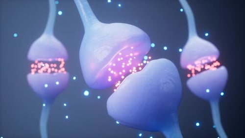 Neurones et synapses, concept du système nerveux, rendu 3D.