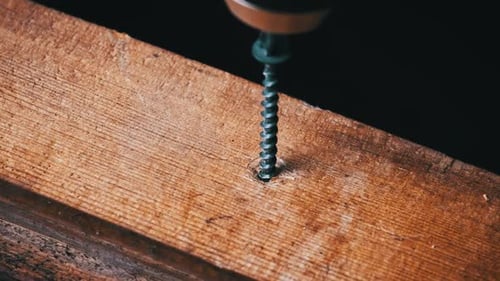 Screw is Screwed Into a Wooden Board with a Screwdriver CloseUp