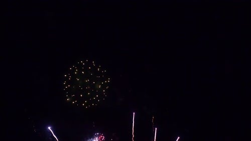 Brilliant Fireworks Exploding in the Night Sky