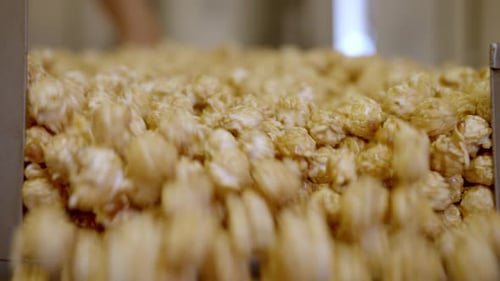 Caramel Corn Production Line, Close Up View