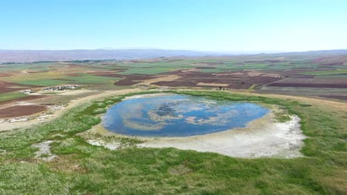 Aerial View Of Mossy Lake Among Green Reeds And Fields