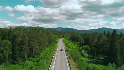 Aerial View of Road Across the Forest on Blue Cloudy Sky Background Scene Straight Long Road Bending