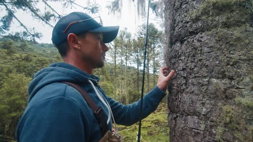 Fisherman Watches the Tree
