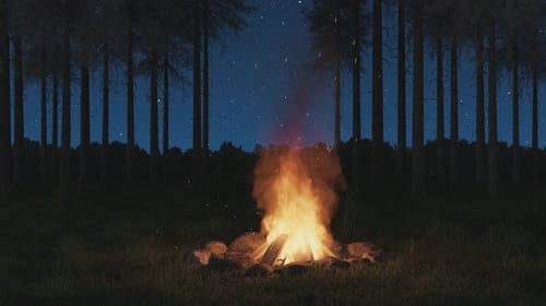 Loop Of Big Bonfire With Flying Sparks In Front Of Pine Trees And Starry Sky