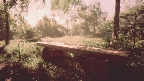 Sunlight Dappling on Wooden Bench in Serene Forest