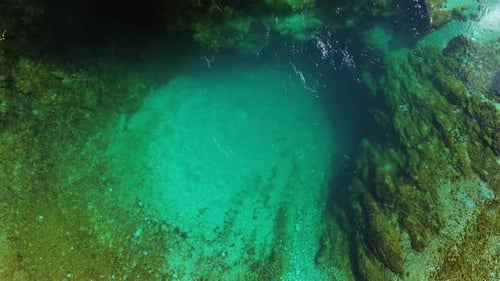 Türkisfarbenes Quellwasser, umgeben von üppigem grünem Wald